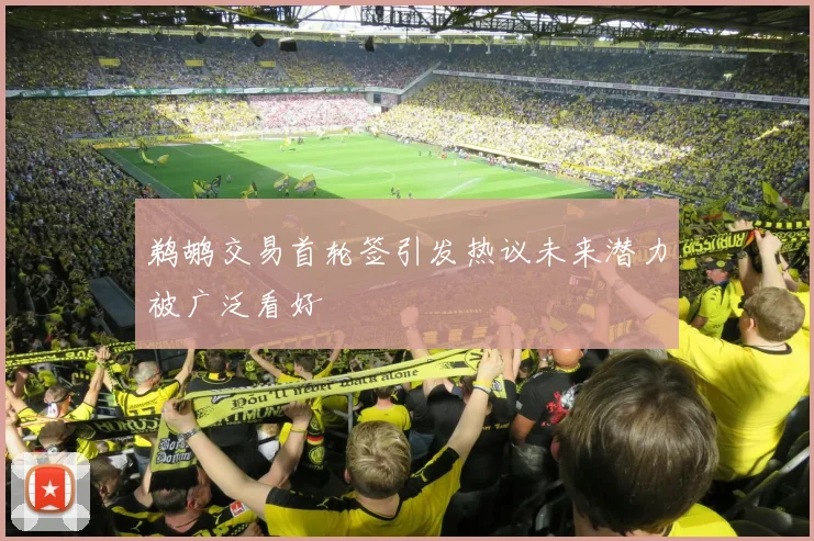 鹈鹕交易首轮签引发热议未来潜力被广泛看好